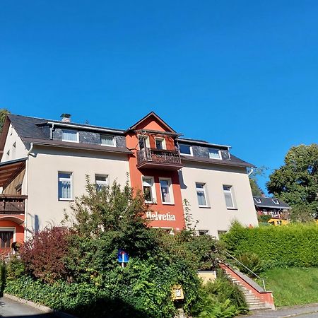 Villa Helvetia Bad Elster Exterior photo